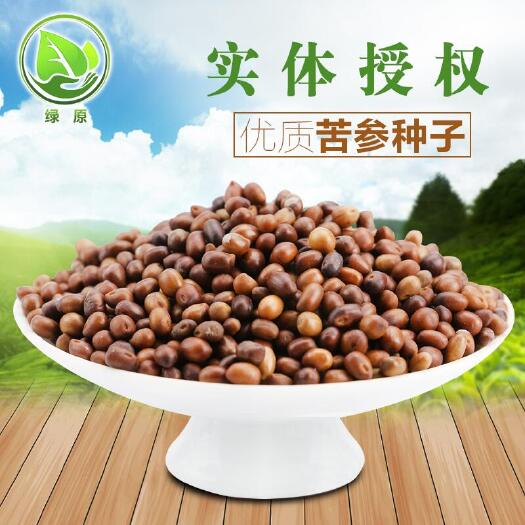 安国市苦参种子，包发芽率，惠农网推荐商家