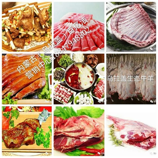 东乌旗 天边草原乌拉盖-乌珠穆沁格尔思汗羊肉