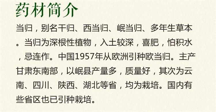 当归种苗  当归种子 当年纯新种子 包发芽 95%以上 包邮