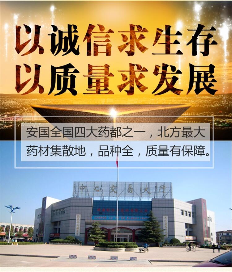 党参种苗 党参种子，当年新采 包发芽 免费提供种植技术