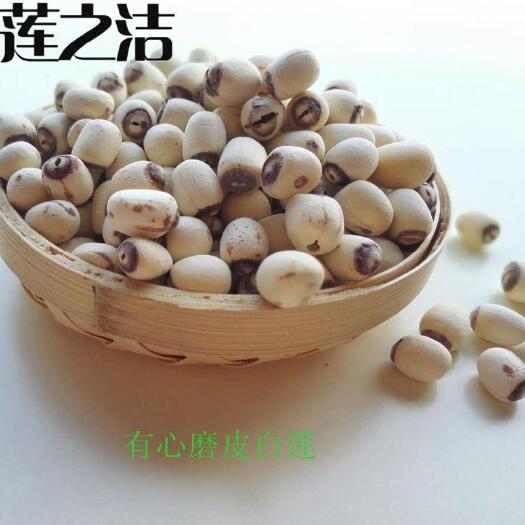 湘潭县小颗粒磨皮白莲子，有心白莲子，非湘莲，20245年新货上市