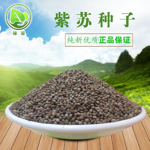 紫苏子 紫苏子