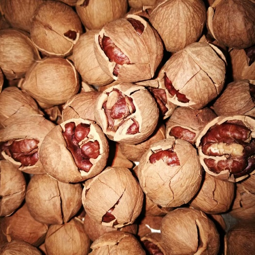 杭州临安小核桃 