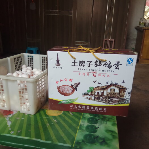 魏县鸽子蛋  种鸽蛋，鲜