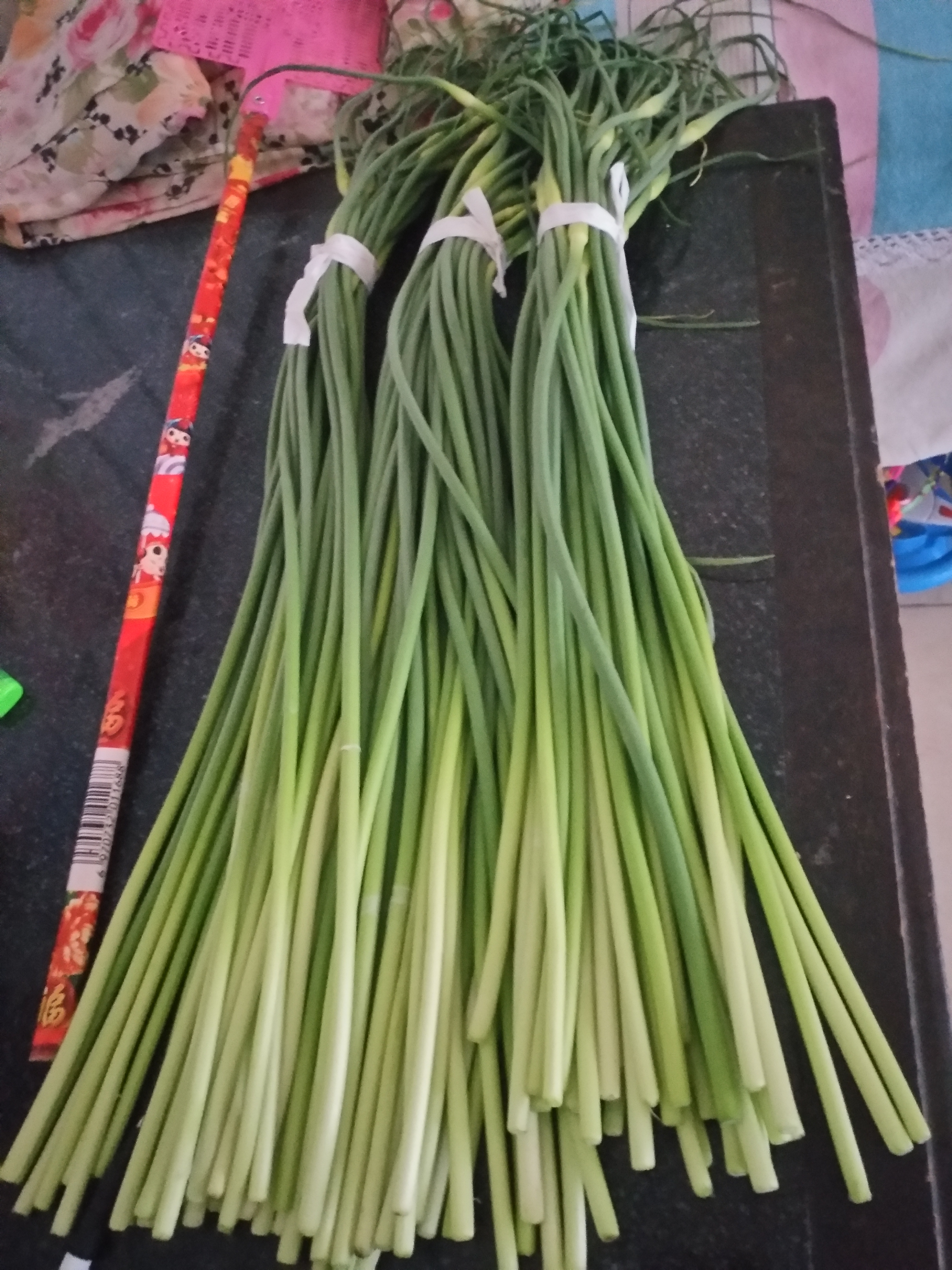 白帽蒜薹 一茬 60~70cm 通货