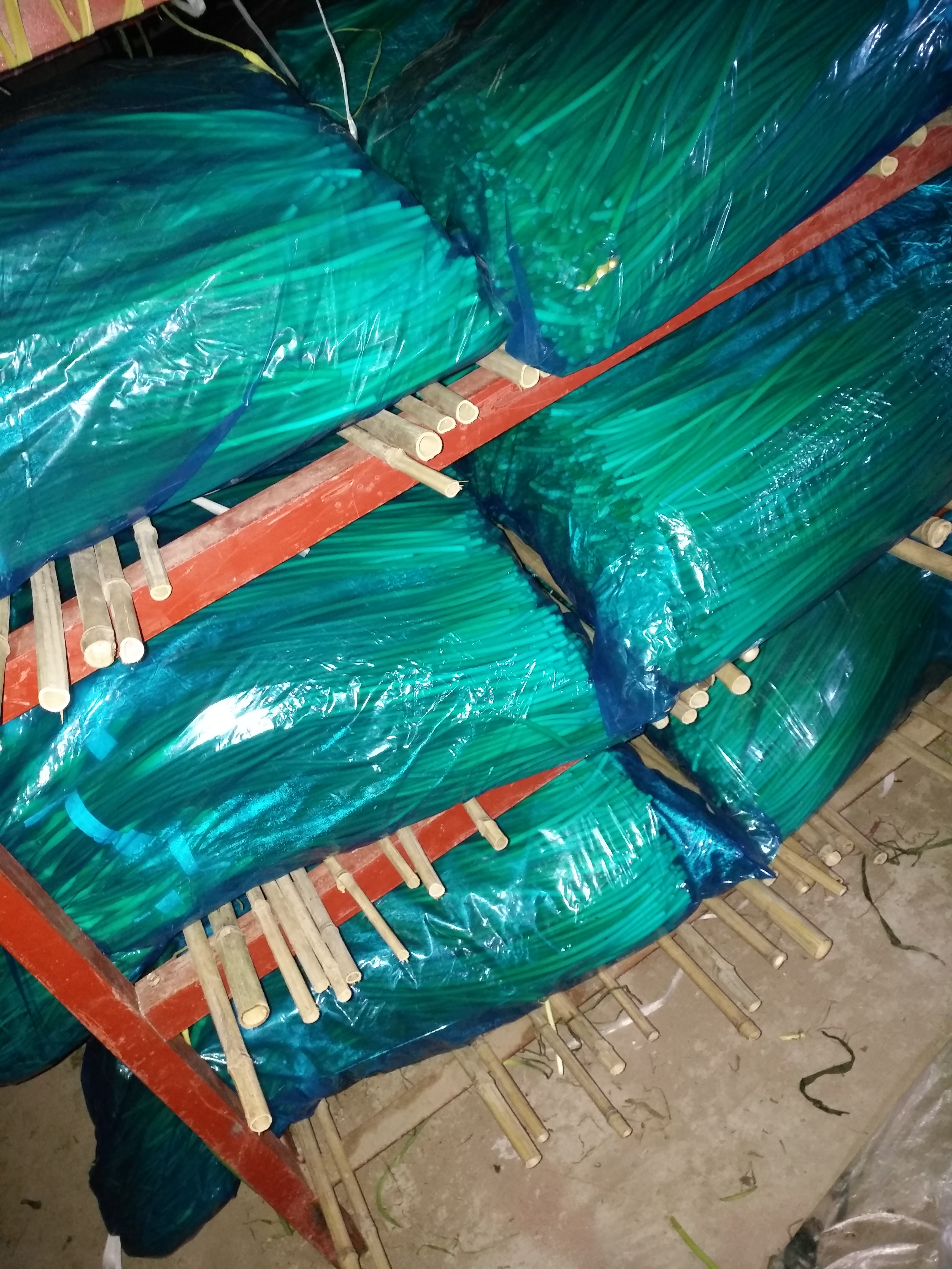 白帽蒜薹 一茬 60~70cm 通货