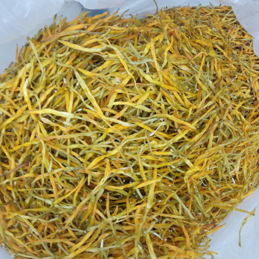 方城县普通黄花菜  优质黄花菜全干大条菜，头茬好货