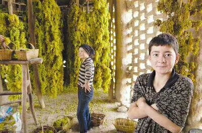 阿拉尔市绿香妃葡萄干 一等