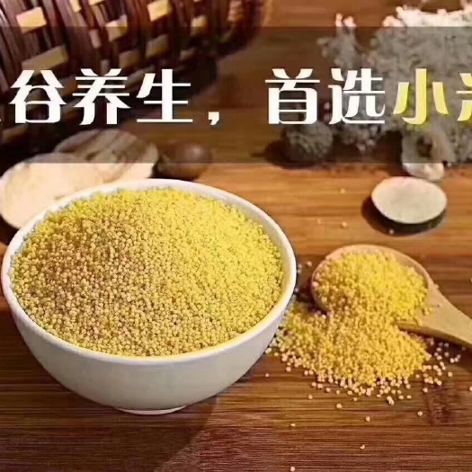 绥德县香谷小米