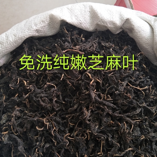 郑州干芝麻叶 24个月以上 