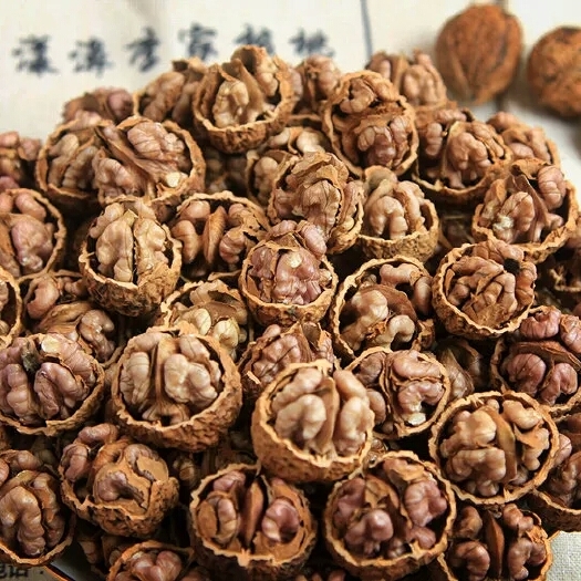 嵩县纸皮核桃  新疆核桃  统选货薄皮核桃手工一斤
