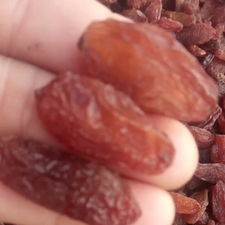 红葡萄干  新货，新疆吐吐鲁番超大红香妃王葡萄干 有香味，颗
