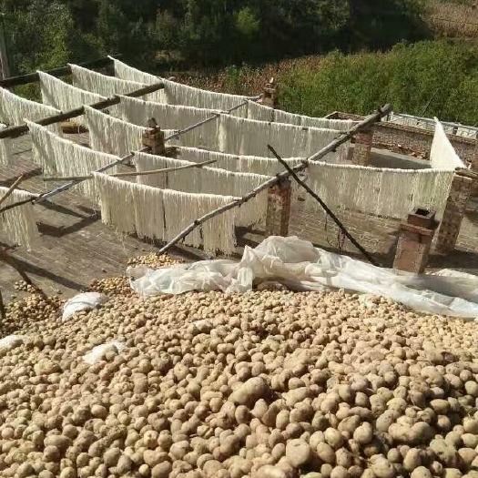 吕梁土豆粉