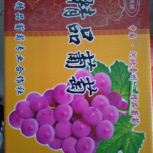 晋州市 巨峰葡萄  冰糖葡萄
