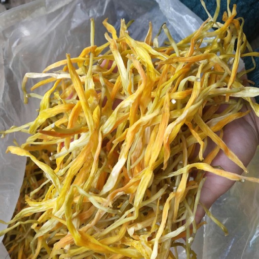 方城县【包邮】新货黄花菜干菜金针菜串串香凉菜商用散装批发量大从优