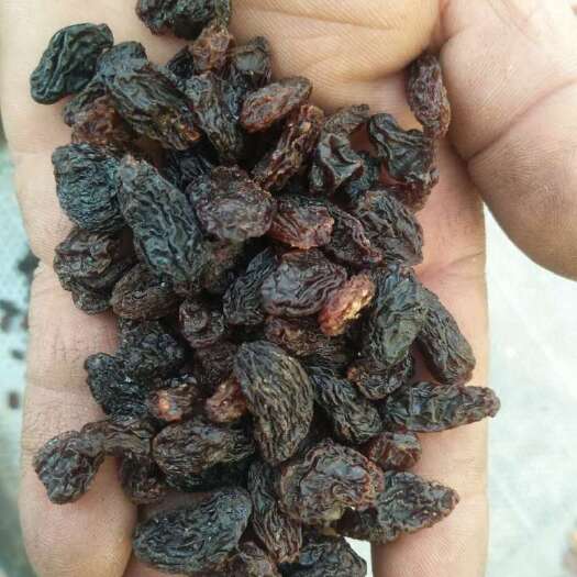 鄯善县黑葡萄干  黑无核白葡萄干