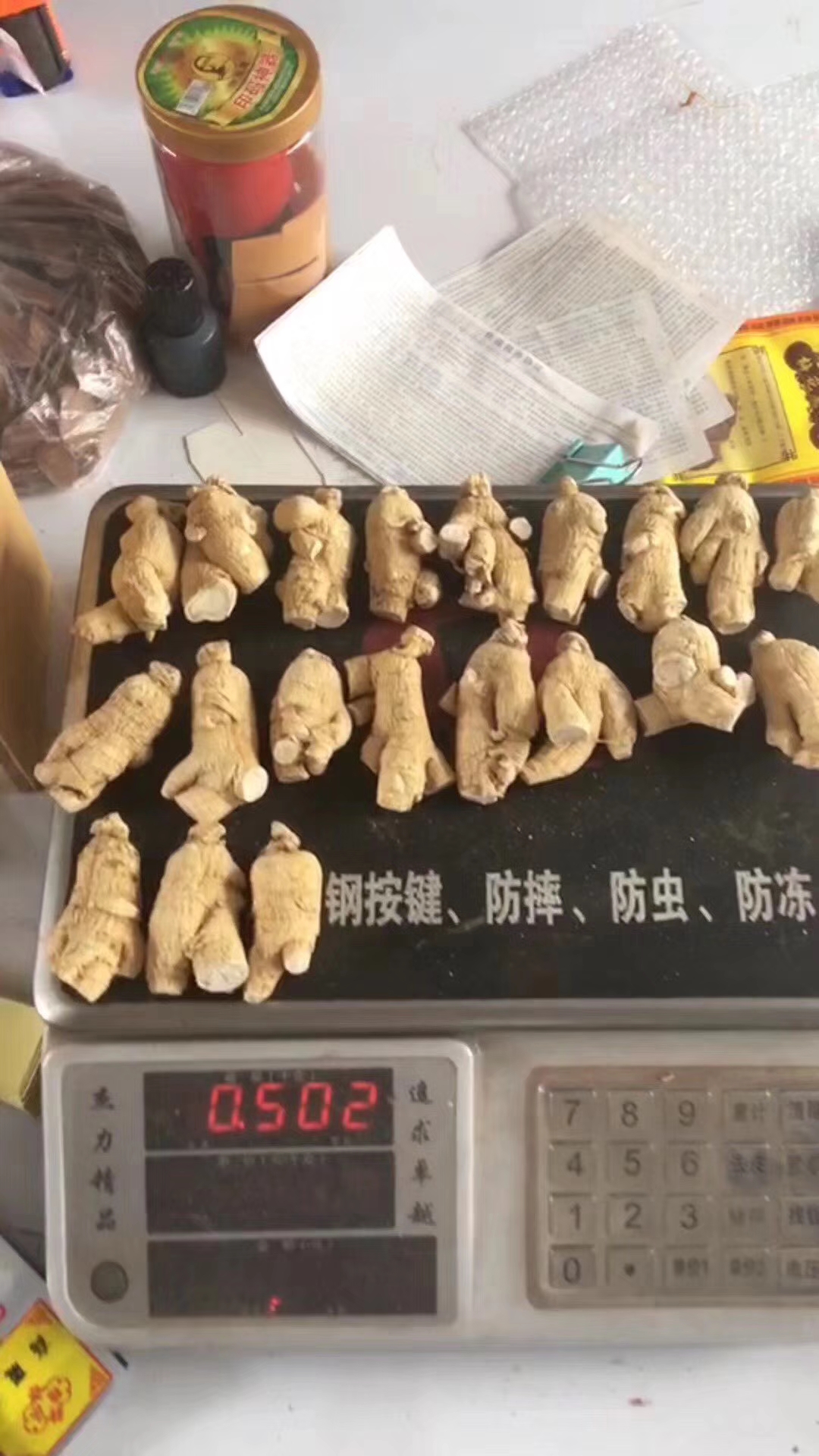 長(zhǎng)白山人參 特大西洋參15-18顆一斤