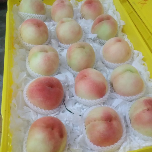 无锡水蜜桃