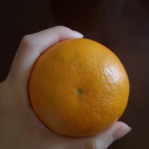 钟山县 出售皇帝柑自然熟，不抛光打蜡，每箱十斤装全国包邮