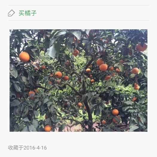 资中县塔罗科血橙 资中血橙 65 - 70mm 4-8两