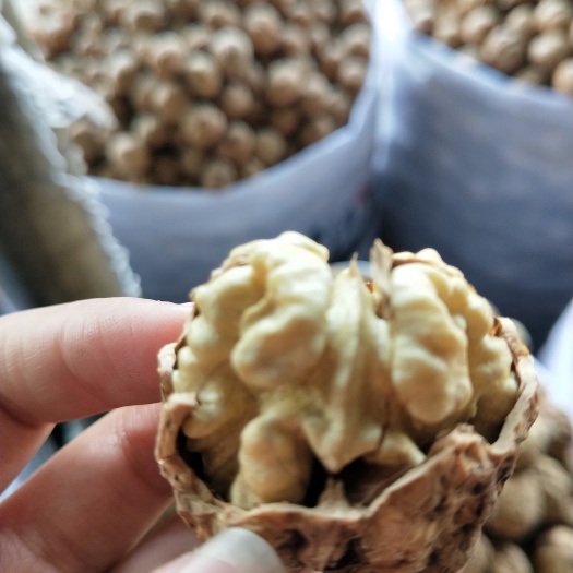昆明泡核桃  新货云南漾濞麻子核桃