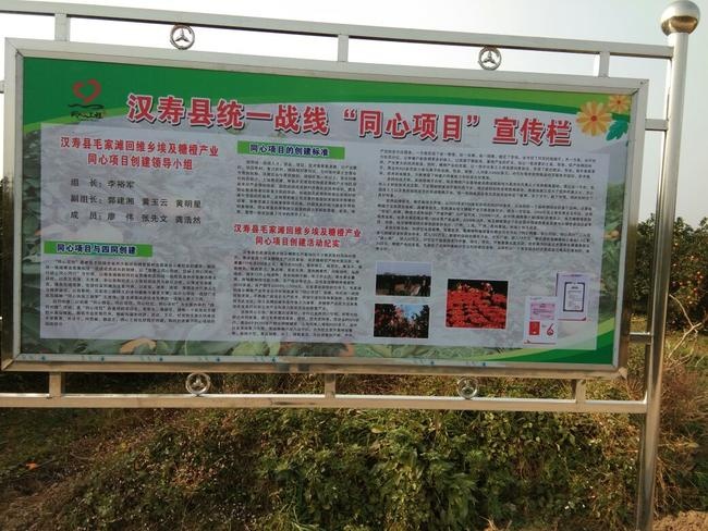 汉寿县埃及糖橙 市场果