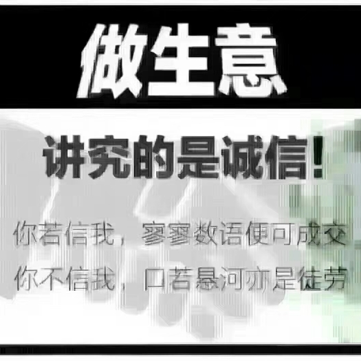 洛宁县桔梗种子