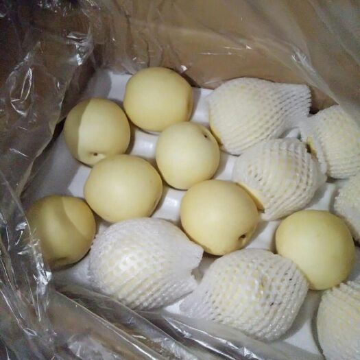 赵县皇冠梨 350-400g 95mm以上