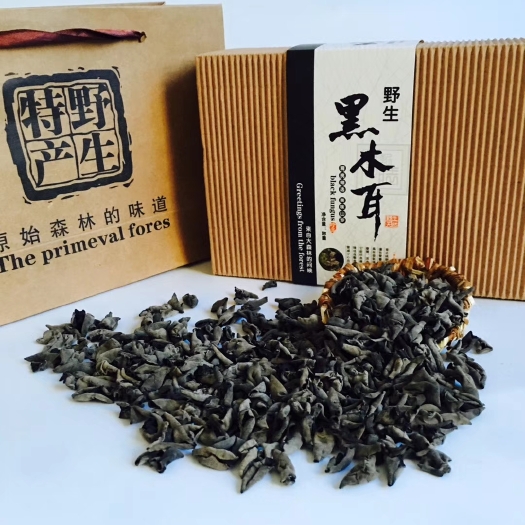 抚松县长白山秋木耳，东北秋季的木耳。