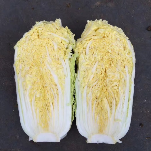 白菜种子 娃娃菜种子个头0.8到1.0公斤
适合春秋