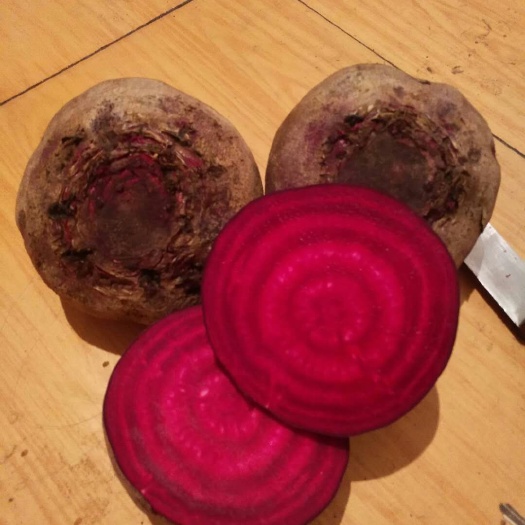 甜菜根 大小均匀