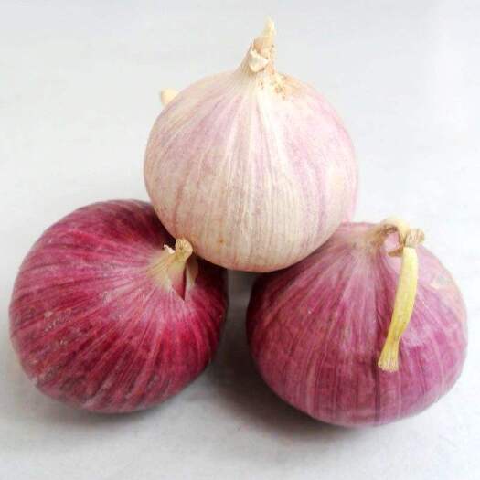 郓城县红皮大蒜 3.2-3.8cm 独头 