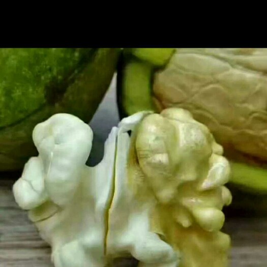 献县纸皮核桃