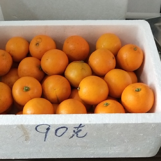 洪江市泡沫箱 