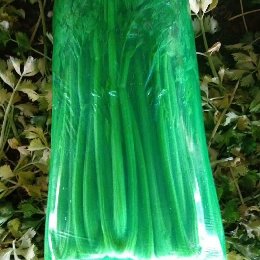 邯郸皇妃芹菜