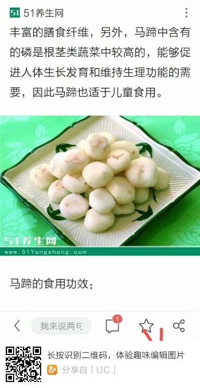 乐昌市乐昌马蹄 大号