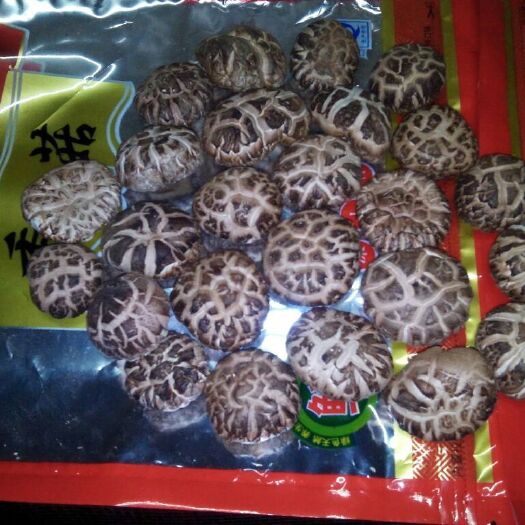 随州原木干香菇 袋装 半年