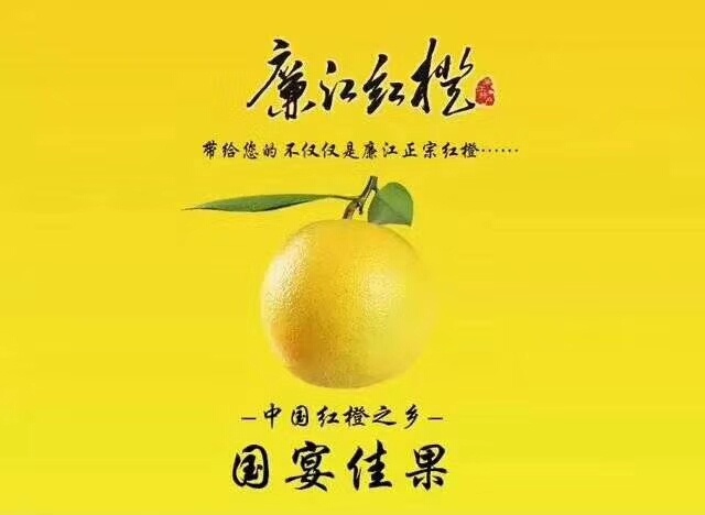 廉江市红江橙 65 - 70mm 4两以下