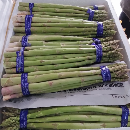 南通绿芦笋 江苏省南通市海门市 混装通货