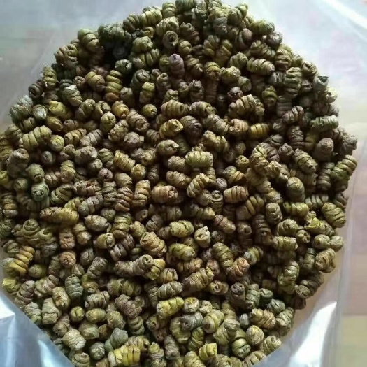 乐清市铁皮石斛