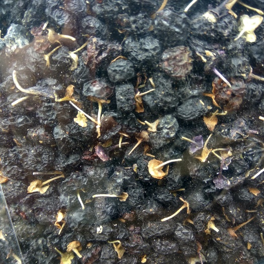 广州黑枸杞 一级