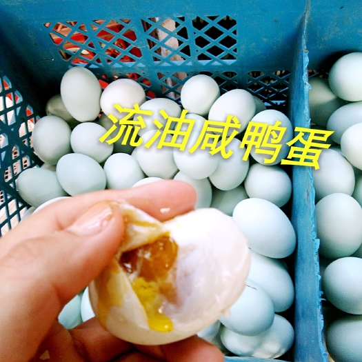 青皮鸭蛋  流油咸鸭蛋
