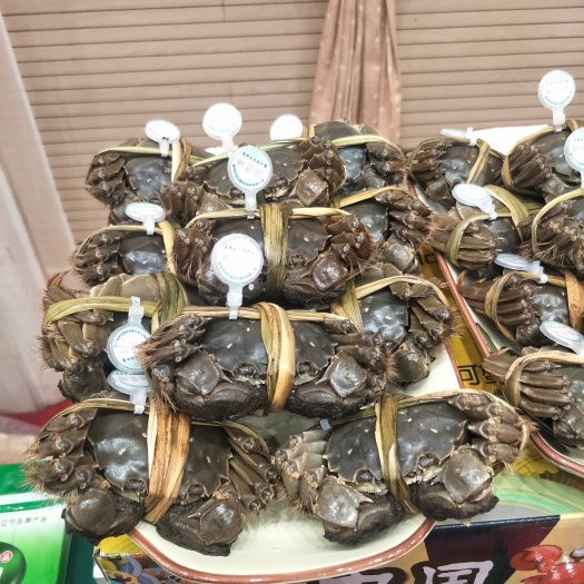 盘山县盘锦河蟹 2.0两以下 母蟹
