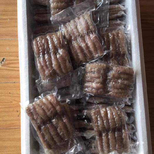 日照皮皮虾