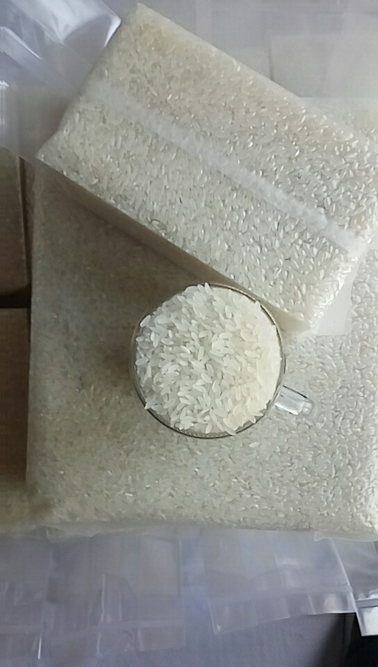 东北大米 2019新米上市！！！！