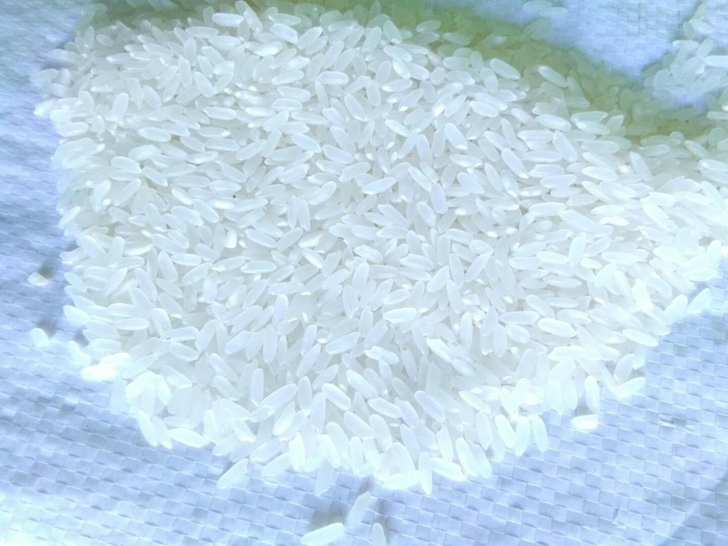 东北大米 2019新米上市！！！！