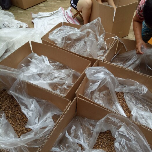 菏泽干蛐蛐干蟋蟀大量批发供应