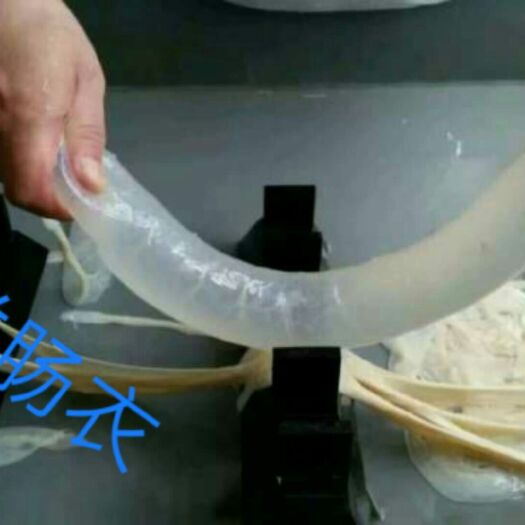 顺平县猪肠衣 