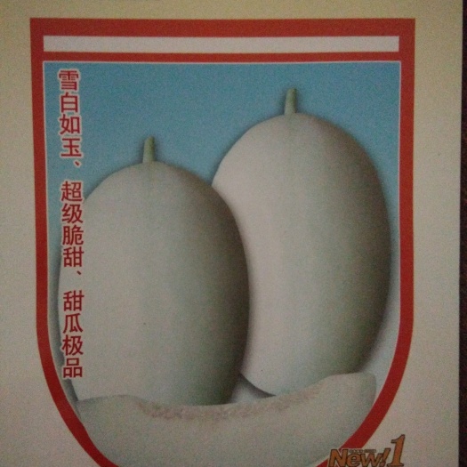 富平县甜瓜种子