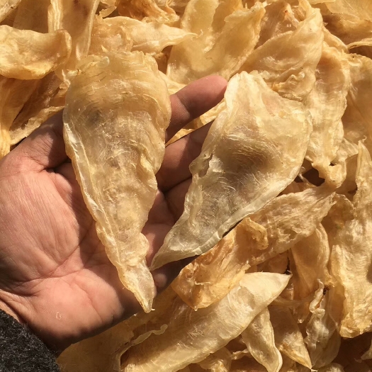 饶平县墨鱼胶